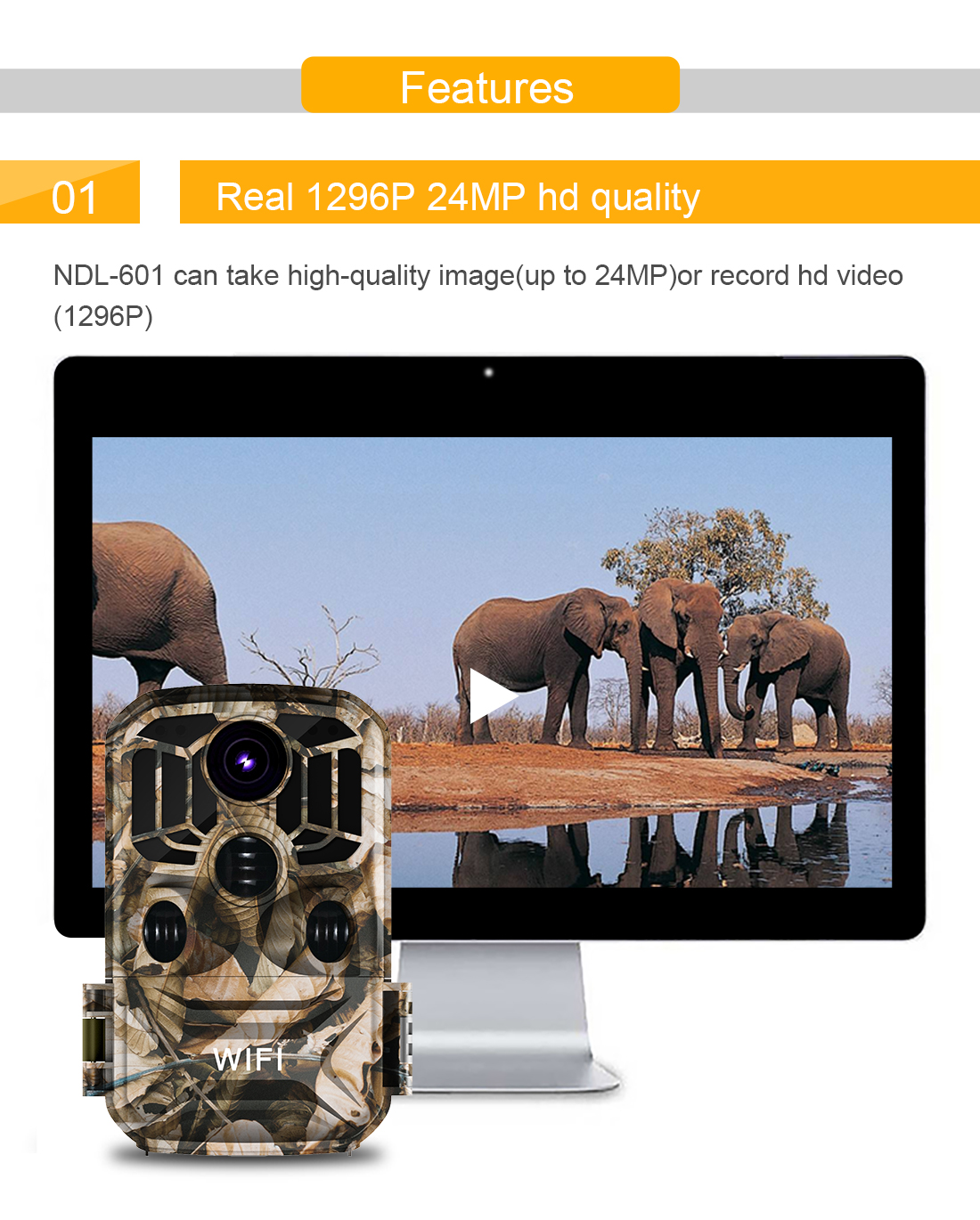 HD 24 million WiFi infrared night vision 1080P hunting camera hunting camera